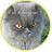 африканец3