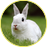 Valerika22