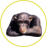ArkafaN