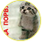 Vikont